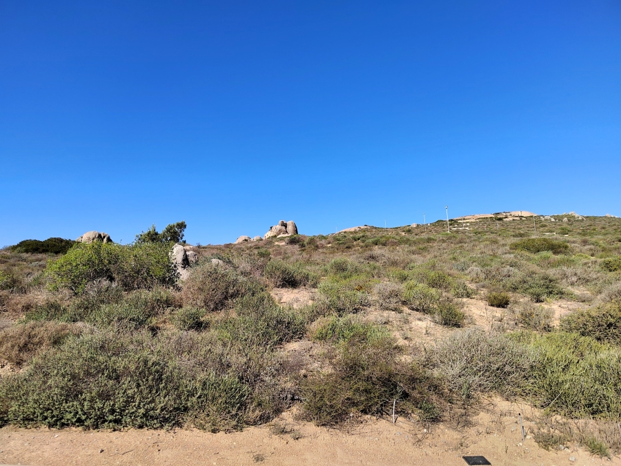 0 Bedroom Property for Sale in Steenbergs Cove Western Cape